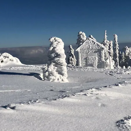 Apartament Między Nami