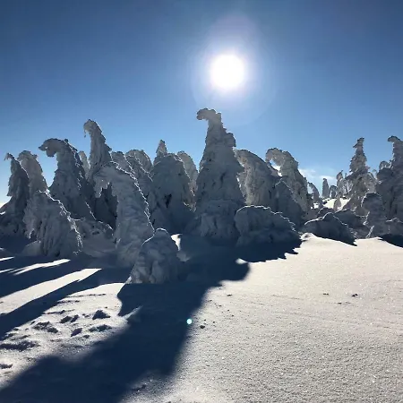 Miedzy Nami アパート シュチルク