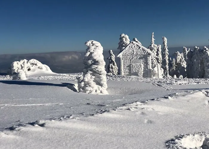 Appartement Miedzy Nami